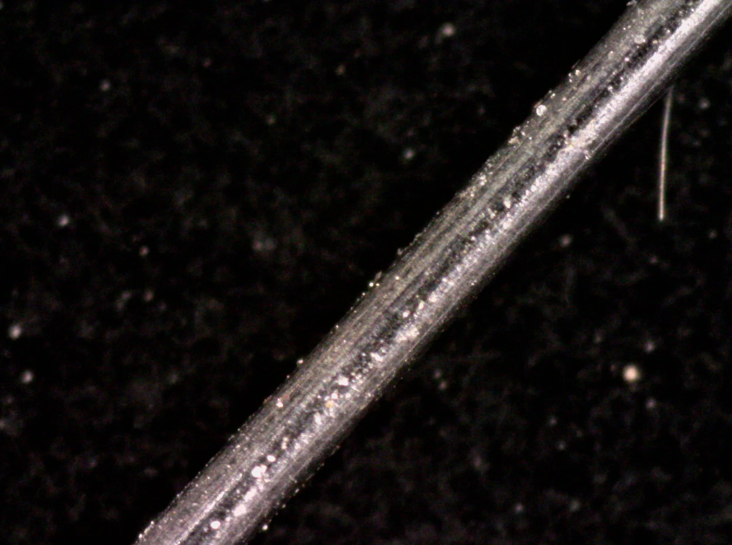Poor Stainless Stee; Wire with a lot of damaged places